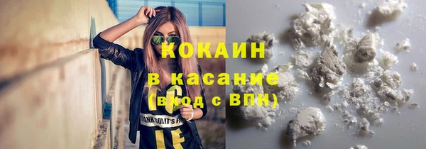 шишки Новозыбков