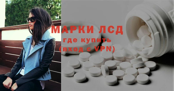 шишки Новозыбков