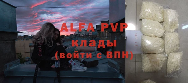 шишки Новозыбков