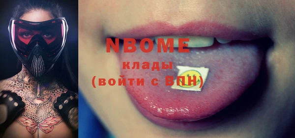 индика Новодвинск