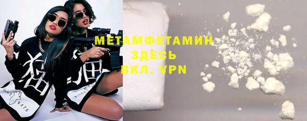 индика Новодвинск