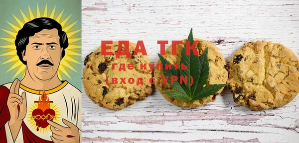 индика Новодвинск