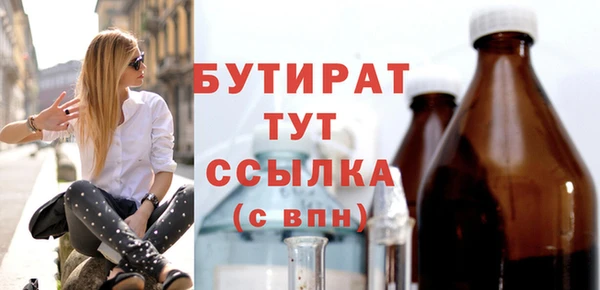 индика Новодвинск