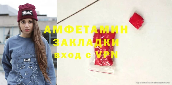 шишки Новозыбков