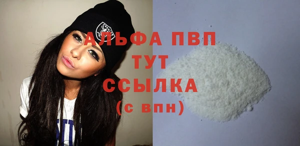 индика Новодвинск