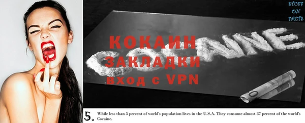 индика Новодвинск