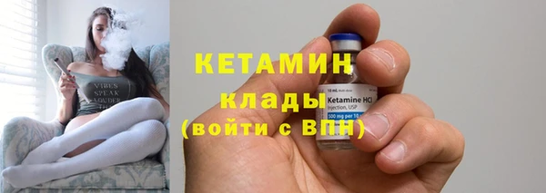 шишки Новозыбков