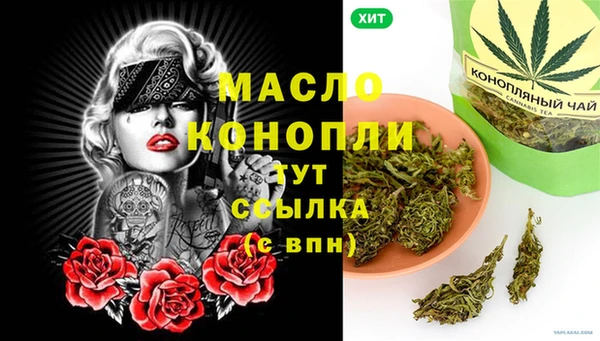 индика Новодвинск