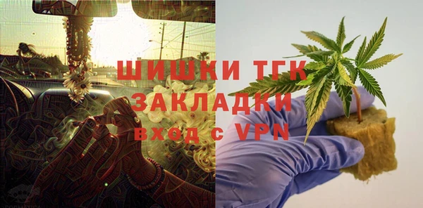 индика Новодвинск