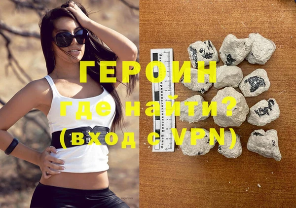 индика Новодвинск