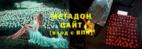 индика Новодвинск