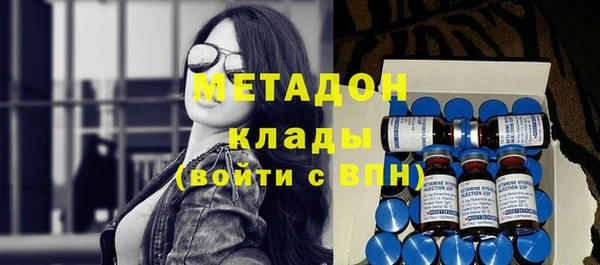 индика Новодвинск