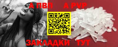 амф Гусев