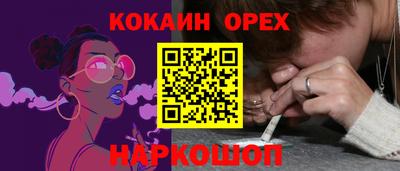 амф Гусев