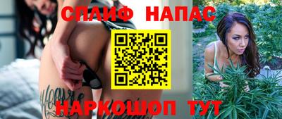 амф Гусев