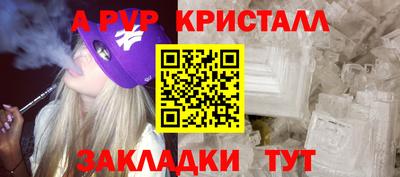 амф Гусев